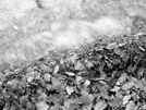 Derwentwater ii
